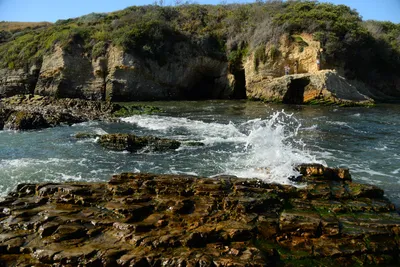 DSC_2700 (Large).JPG